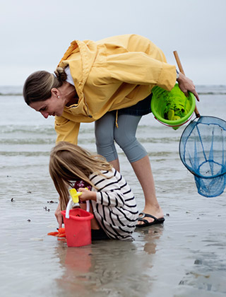 Mom and child on beach collecting shells.